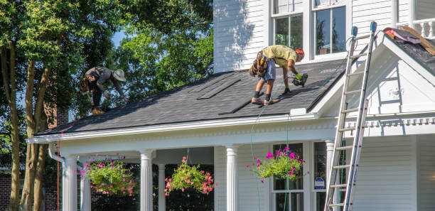 Best Roof Maintenance and Cleaning  in Riverview, MO